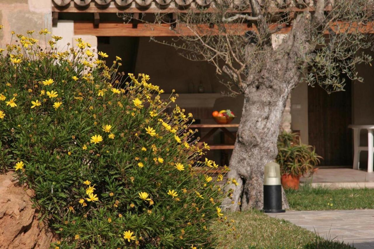 Butxaco Villa Pollença